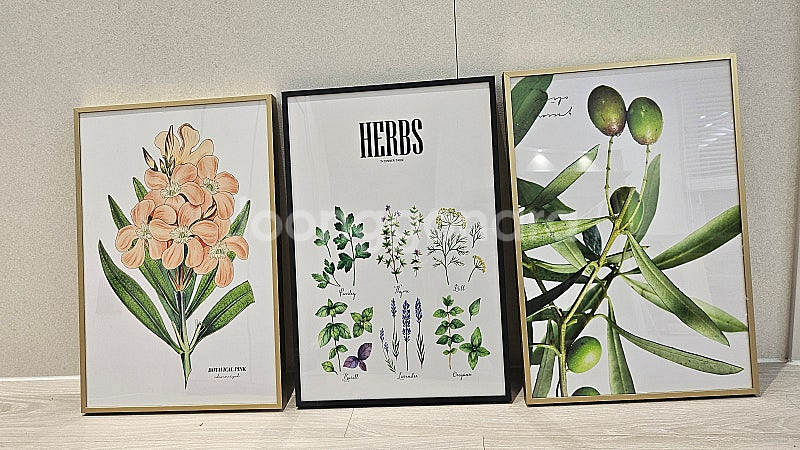 인테리어 예쁜 식물액자 팝니다.--0